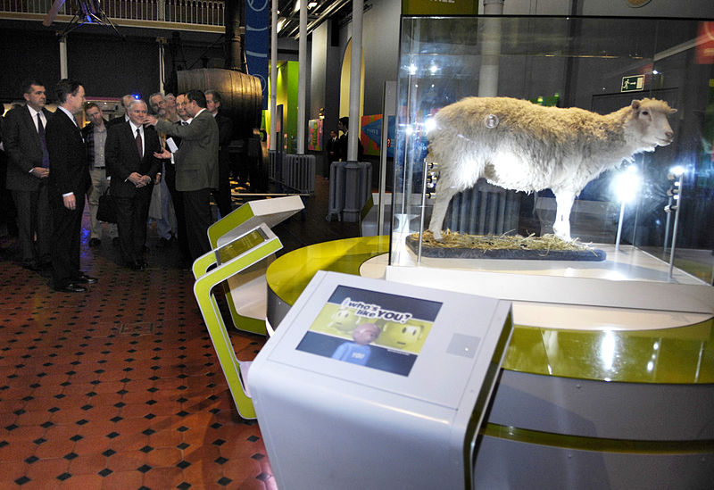 Defense Secretary Robert M. Gates looks at an exhibit of Dolly, the first cloned mammal, in the Royal Museum of Scotland in Edinburgh, Dec. 13, 2007. Defense Dept. photo by Cherie A. Thurlby