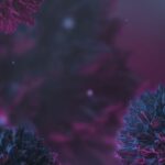 Minnesota’s Funding of Stem Cell Research Echoes Trend toward Ethically Non-Contentious Approaches