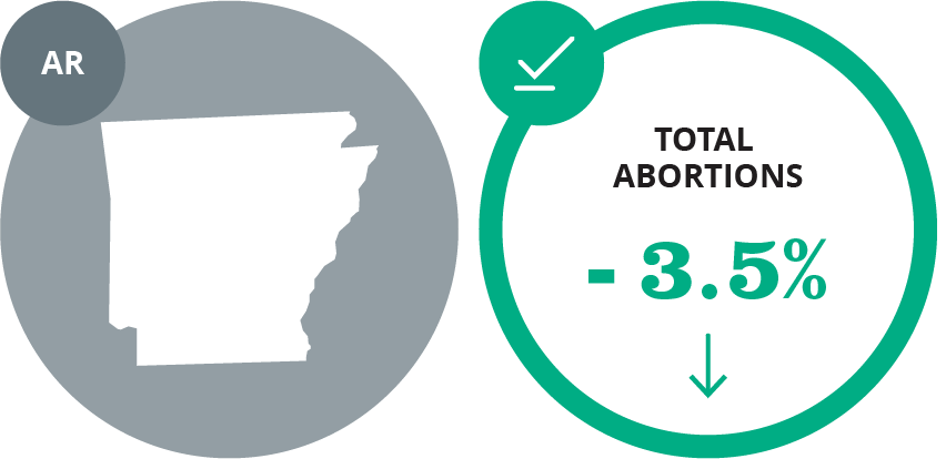 Abortion Reporting: Arkansas (2019) - Lozier Institute