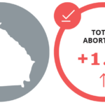 Abortion Reporting: Georgia (2020)