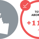 Abortion Reporting: Idaho (2020)
