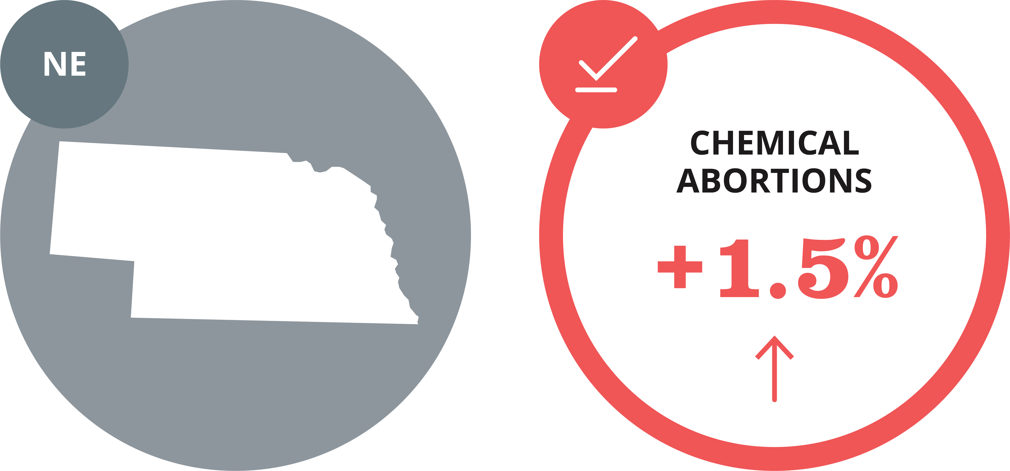 Abortion Reporting: Nebraska (2021) - Lozier Institute