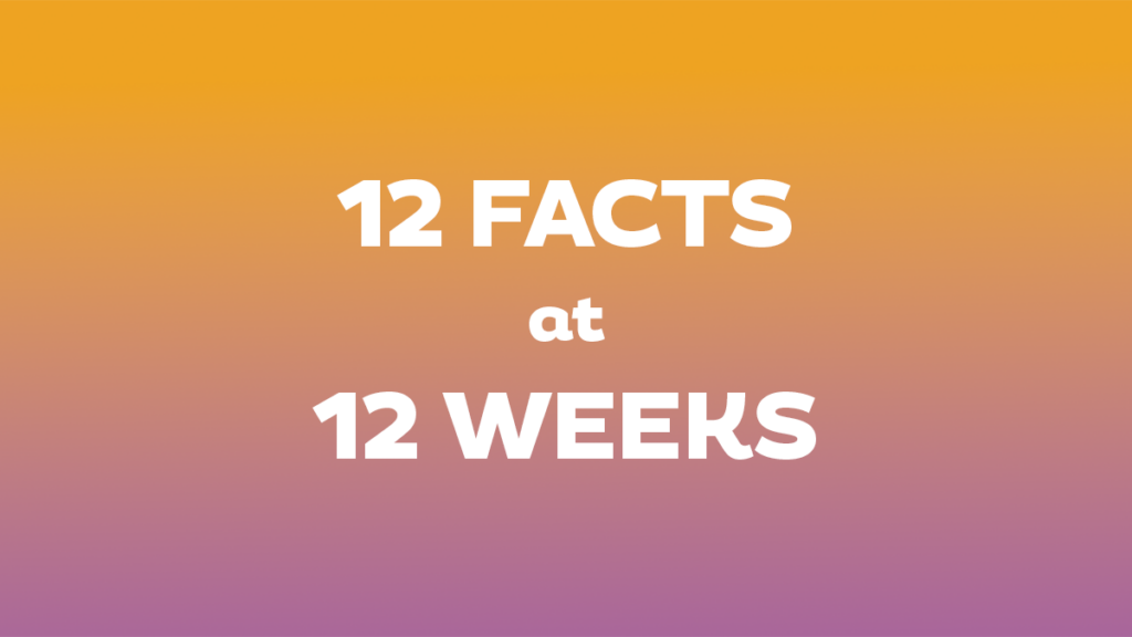 12 Facts at 12 Weeks