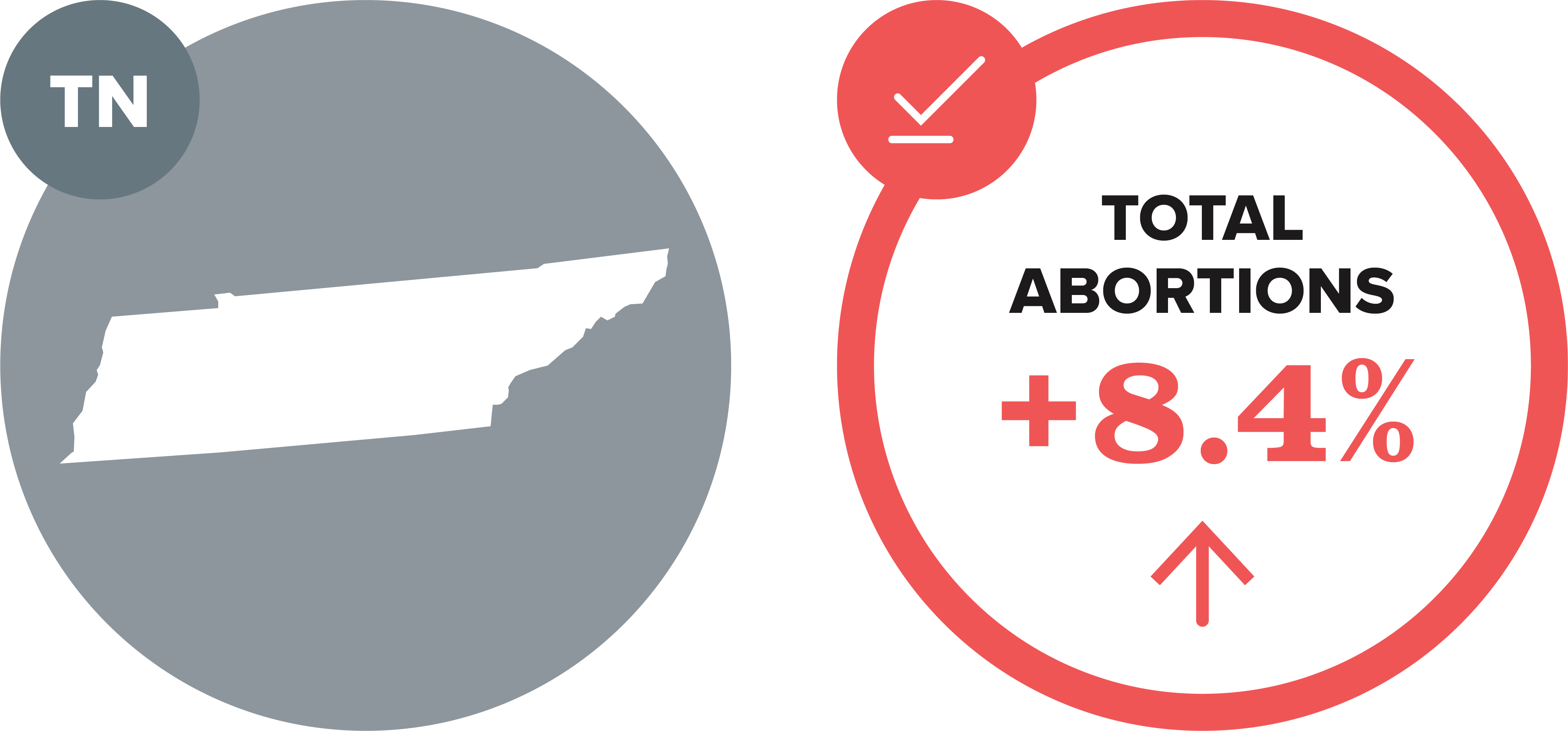 Abortion Reporting Tennessee (2021) Lozier Institute