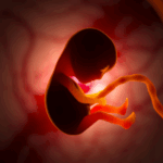 Hyde Amendment has saved 2.6 million babies since 1976: new study