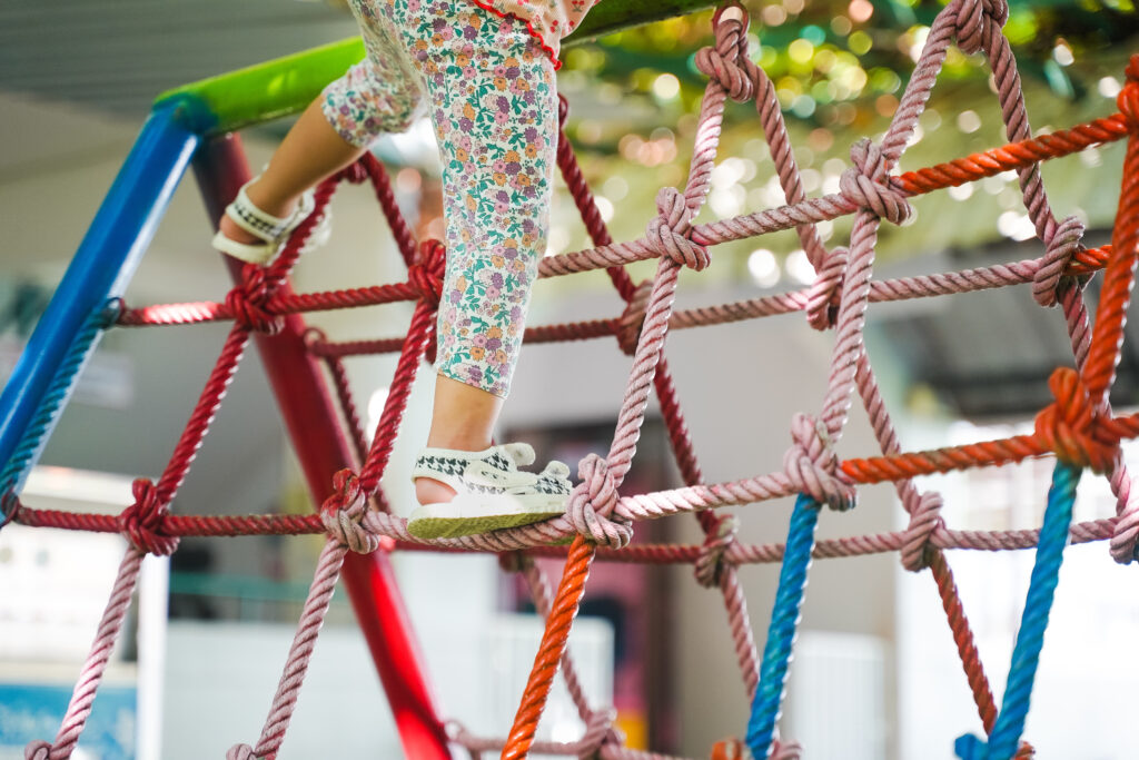 Pro-Life and Safety Net Health Services Initiatives under the Children’s Health Insurance Program