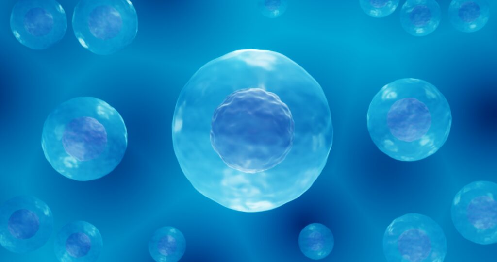 A digital illustration of multiple blue cells with prominent nuclei floating in a blue background, representing a microscopic view of biological cells derived from human embryonic stem cells.
