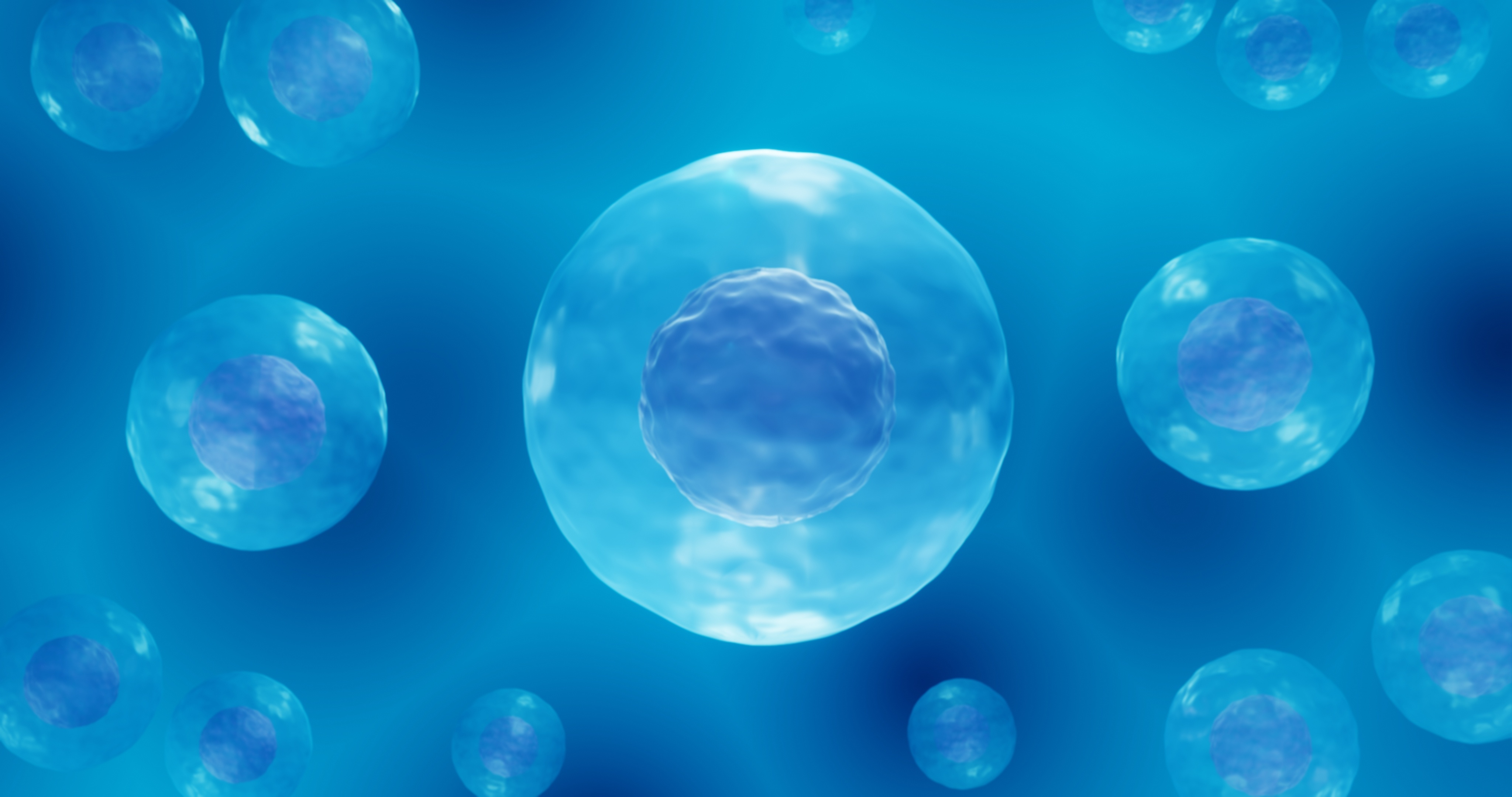 A digital illustration of multiple blue cells with prominent nuclei floating in a blue background, representing a microscopic view of biological cells derived from human embryonic stem cells.