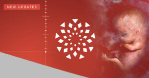A developing human baby is shown on the right against a red background. On the left, a “New Updates” label, geometric logo, and a vertical measurement scale appear, highlighting Unborn Baby Development in a modern, medical-themed design.