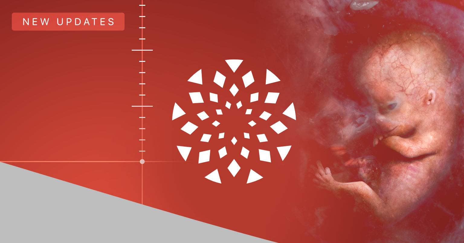 A developing human baby is shown on the right against a red background. On the left, a “New Updates” label, geometric logo, and a vertical measurement scale appear, highlighting Unborn Baby Development in a modern, medical-themed design.