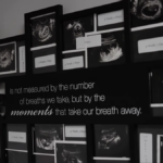 SCOTUS Confirms First Amendment Protects Pregnancy Center Donors From Nosey Abortion States